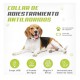 Collar Antiladridos Perros Recargable Sumergible