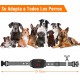 Collar Antiladridos Automatico Recargable Sumergible