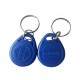 Llaveros de Acceso Llave RFID EM4100 125KHz